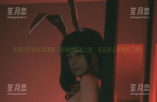末夜787 末夜787的在线美图,猫娘的禁忌之路,这玩意儿太危险了吧!