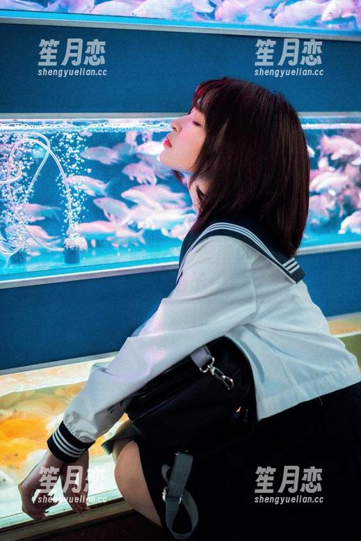 看！河豚抚子的夏天：美图里藏的热浪和碎石子
